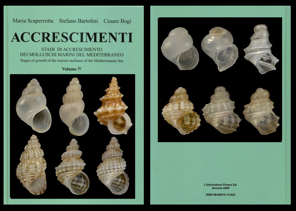 Accrescimenti, IV volume